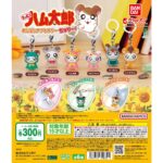 とっとこハム太郎 めじるしアクセサリー ちゅりー!
