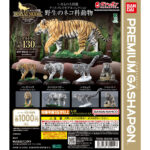 いきもの大図鑑ディスプレイモデルコレクション 野生のネコ科動物