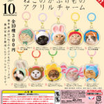 かわいい かわいい ねこのかぶりもの アクリルチャーム