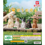 まてぼうけ 犬4