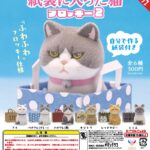 紙袋に入った猫 フロッキー2