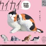 カイカイ猫
