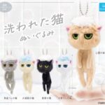 洗われた猫 ぬいぐるみ
