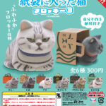 紙袋に入った猫 フロッキー３