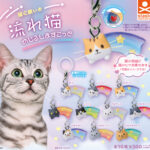 猫に願いを 流れ猫 めじるしますこっと